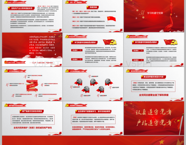 中国共产党章程党章党规学习解读PPT模板
