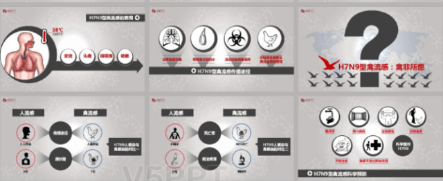 H7N9禽流感生存手册PPT模板