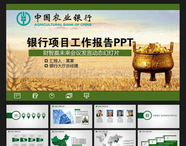 中国农业银行项目工作报告PPT