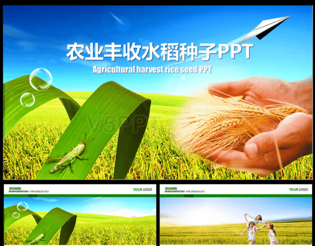 农业生产水稻丰收种子化肥农业PPT