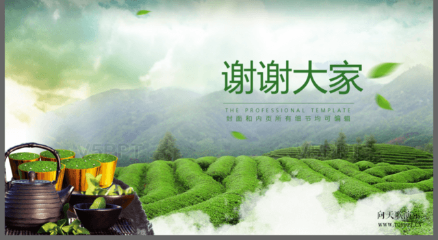 海峽茶文化交流宣傳通用PPT模板