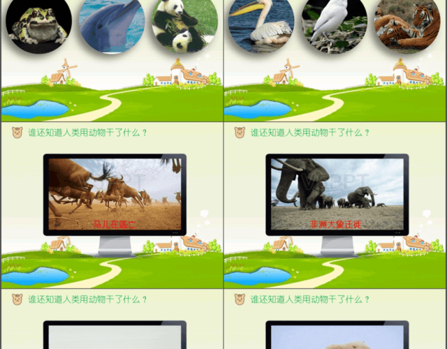 世界動物保護日宣傳小學生中學生PPT模板