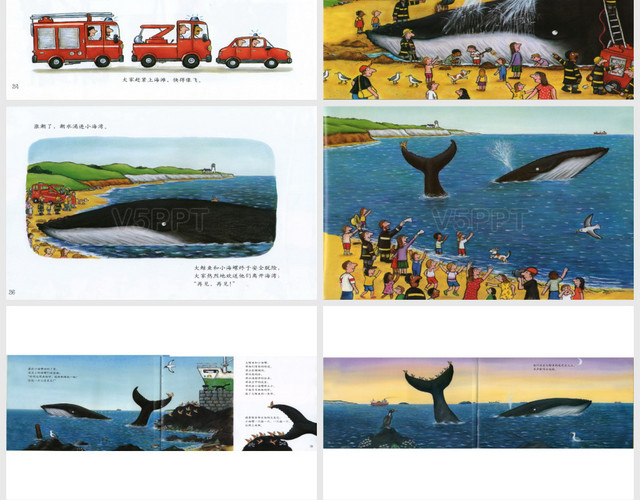 故事讀本--小海螺和大鯨魚兒童PPT模板