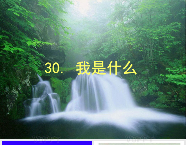 30課《我是什么》(1-2課時)教學課件