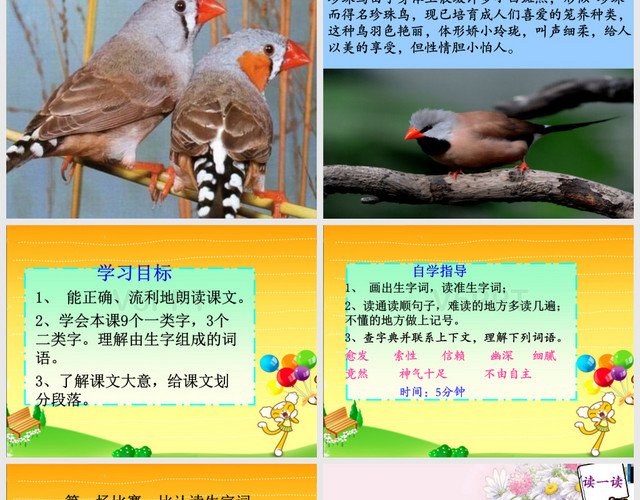 苏教版四年级语文上册第21课-珍珠鸟PPT