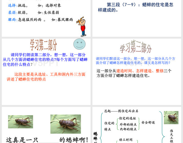 《蟋蟀的住宅》PPT