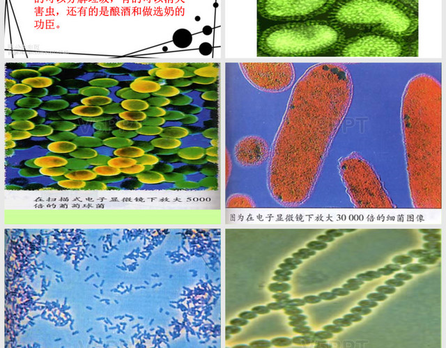 人教版小學(xué)語文三年級上冊《玩出了名堂》PPT