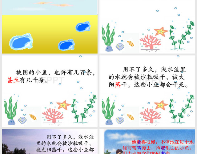 《淺水洼里的小魚》第二課時(shí)課件