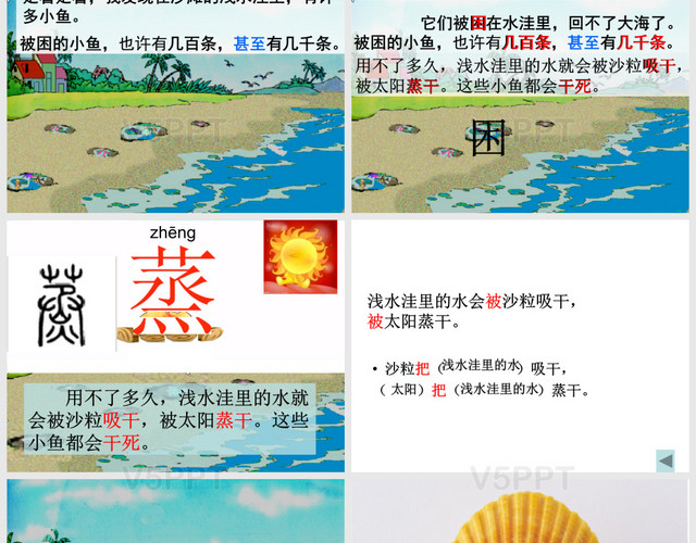 淺水洼的小魚(yú)(純)PPT