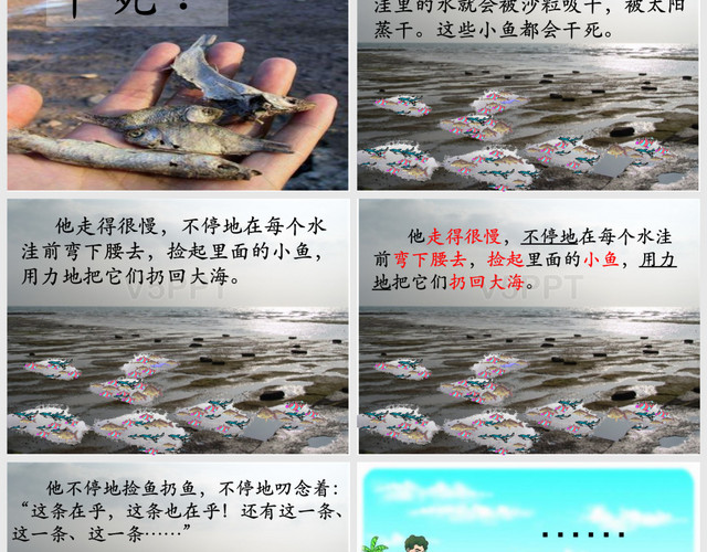 淺水洼里的小魚(指導生字)PPT