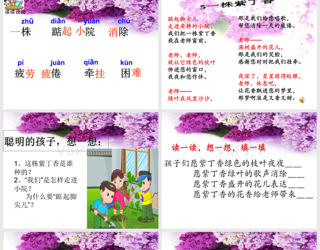 《一株紫丁香》PPT