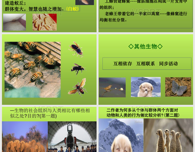 《作為生物的社會》公開課金獎PPT