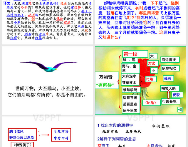 逍遙游PPT