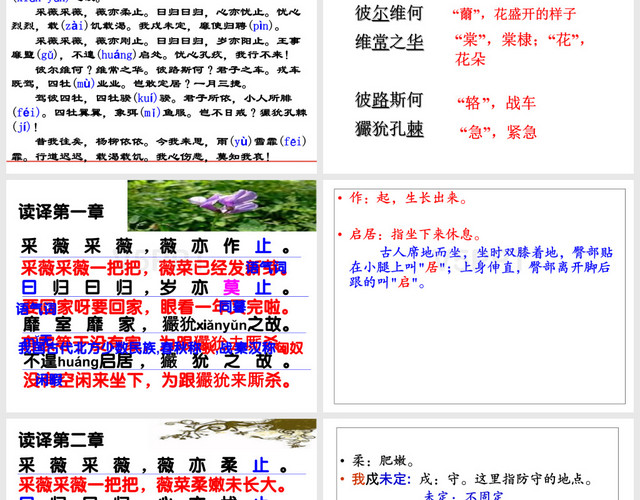 《采薇》-優(yōu)秀課件