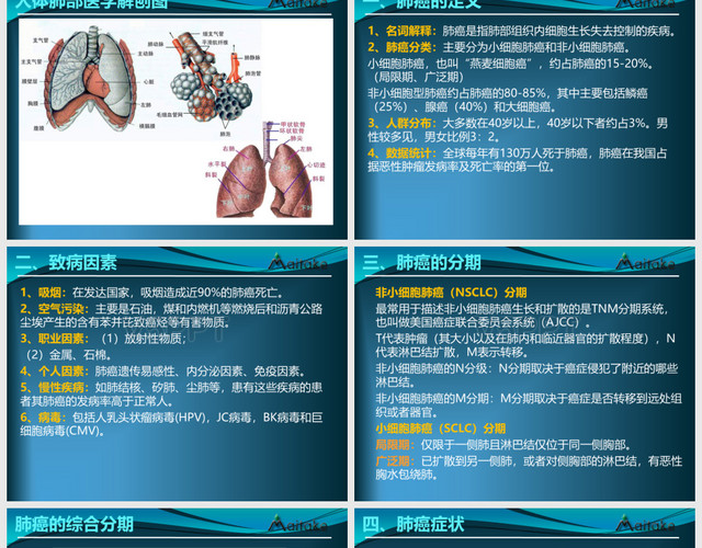 肺癌基本知识PPT模板