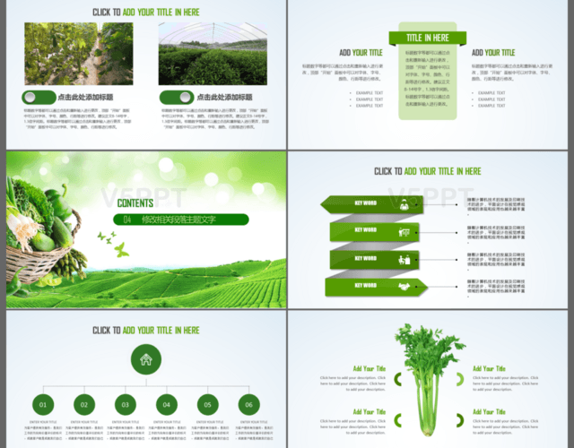 健康生活绿色清新有机农业生态旅游宣传PPT模板