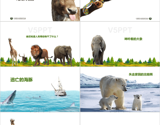 10月4日世界动物日宣传PPT模板