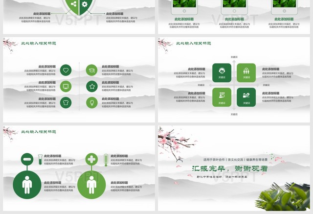 绿色清新茶文化PPT模板