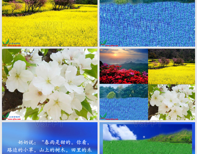 北京版二年级语文下册《我最喜欢春天 2》找春天PPT