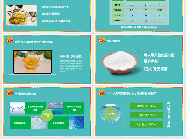 简洁清新营养师培训中国居民膳食指南PPT模板