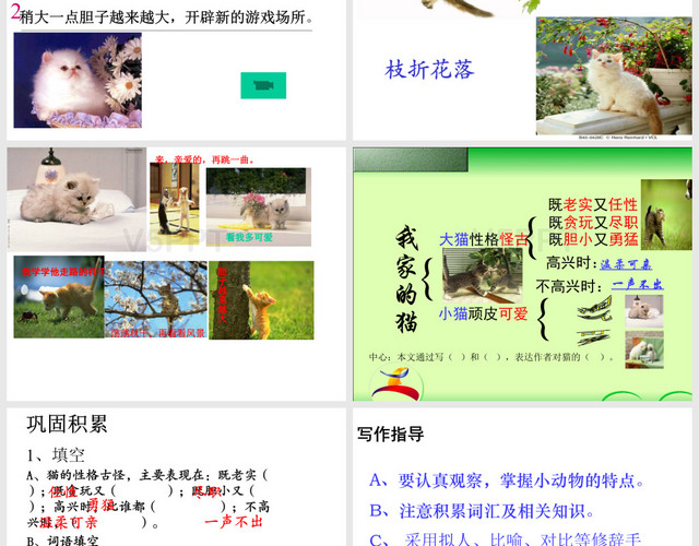 人教版四年级语文上册猫的课件