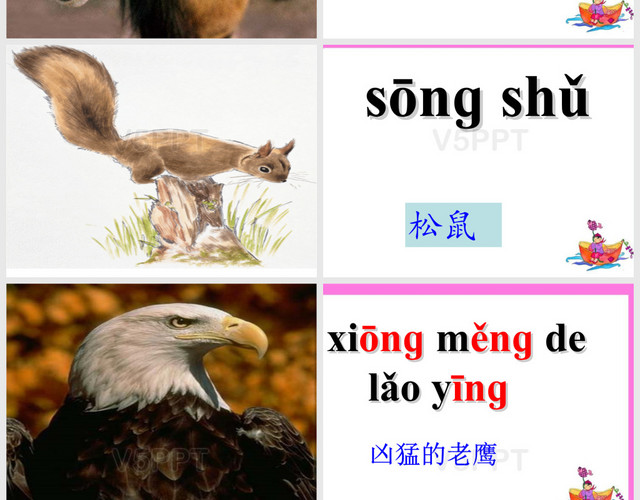 ang-eng-ing-ong(公开课课件)