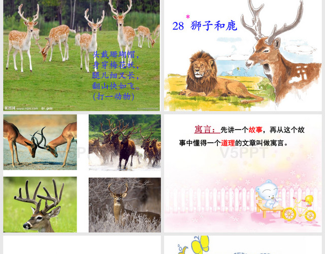 人教版三年级语文上册第28课《狮子和鹿》PPT