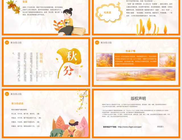 中国传统清新简约二十四节气秋分文化宣传PPT模板