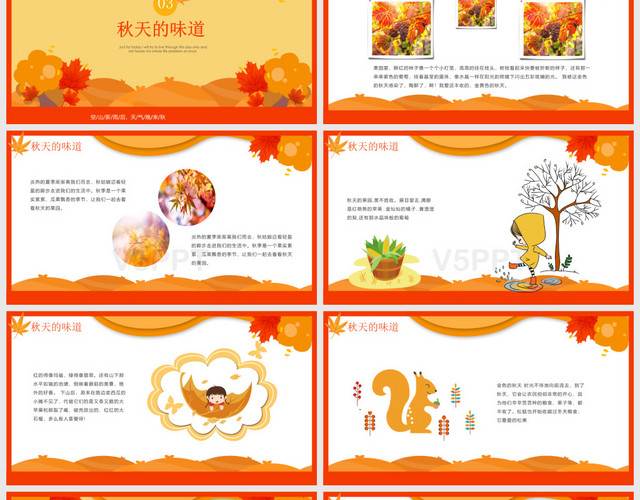 中国传统橘色卡通风二十四节气秋分文化宣传PPT模板