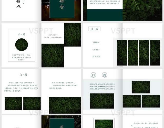暗绿色中国风植物露水背景二十四节气之白露节气主题PPT模板