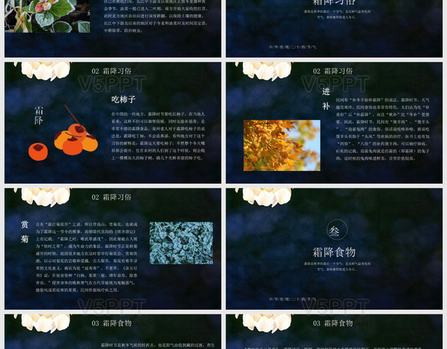 蓝色中国传统二十四节气霜降节气介绍PPT模板