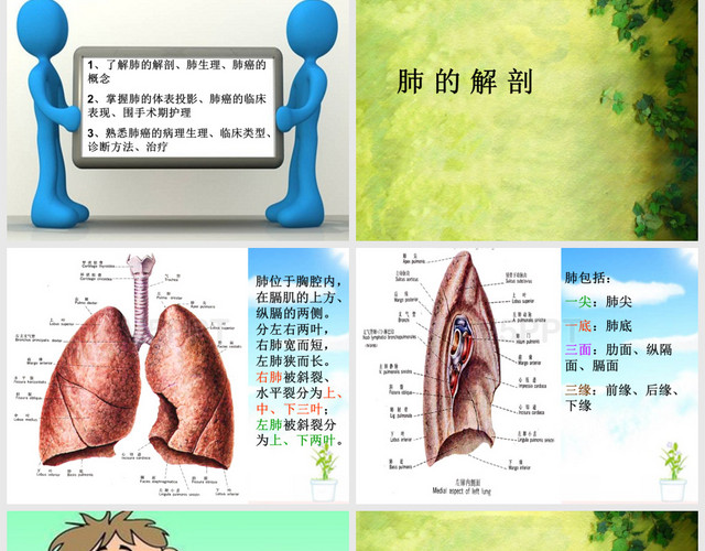 肺癌基本知识PPT模板