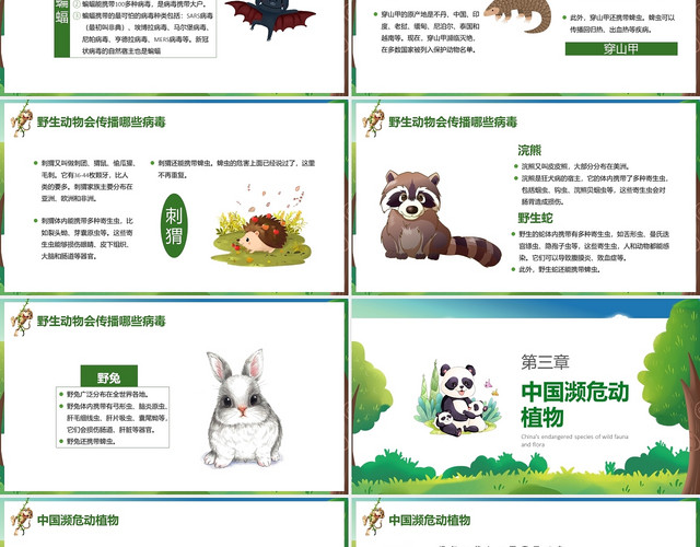 绿色卡通世界动物日节日庆典PPT模板